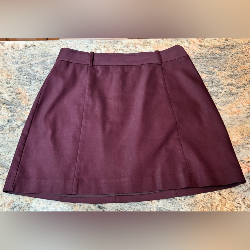Express Burgundy Skirt